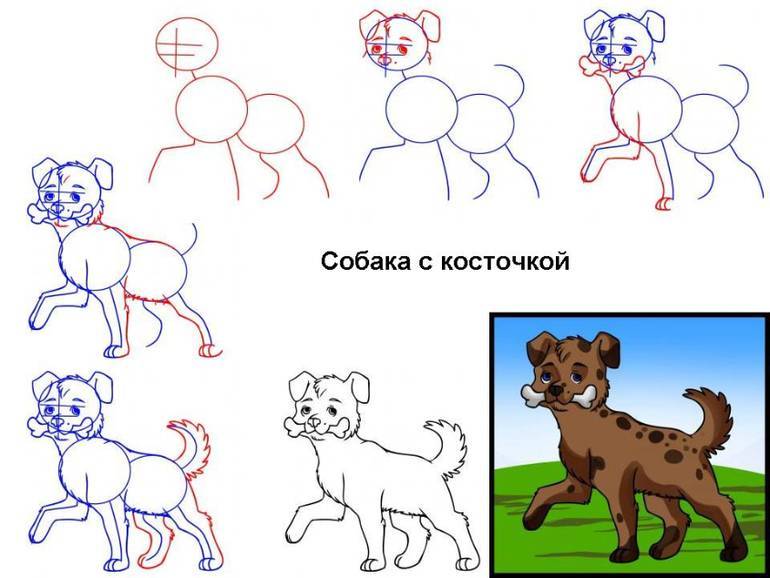 Видеоурок рисунок собаки