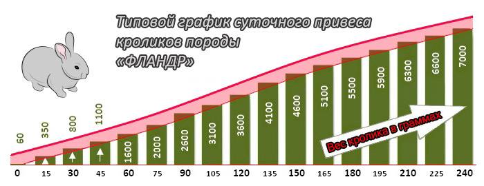 Быстрый рост кролика. Вес кролика в 1 месяц таблица. Таблица роста кроликов. Таблица веса кроликов по месяцам Фландр. Привес кроликов по месяцам.