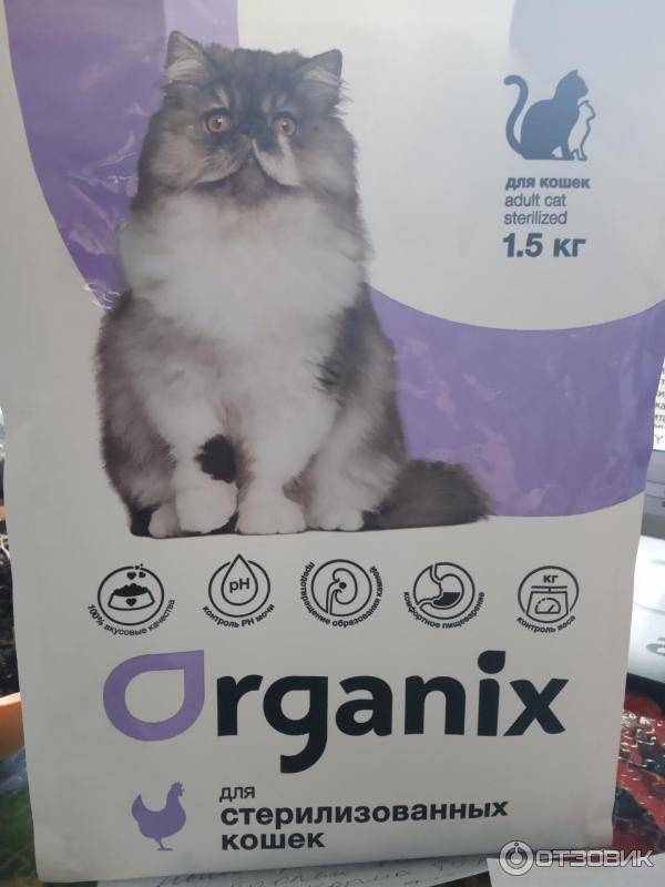 Органикс — корм для кошек