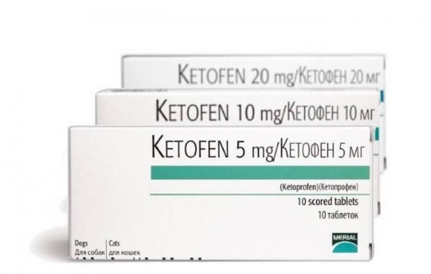 Кетофен таблетки для лечения воспалительных заболеваний опорнодвигательного аппарата у собак и кошек
