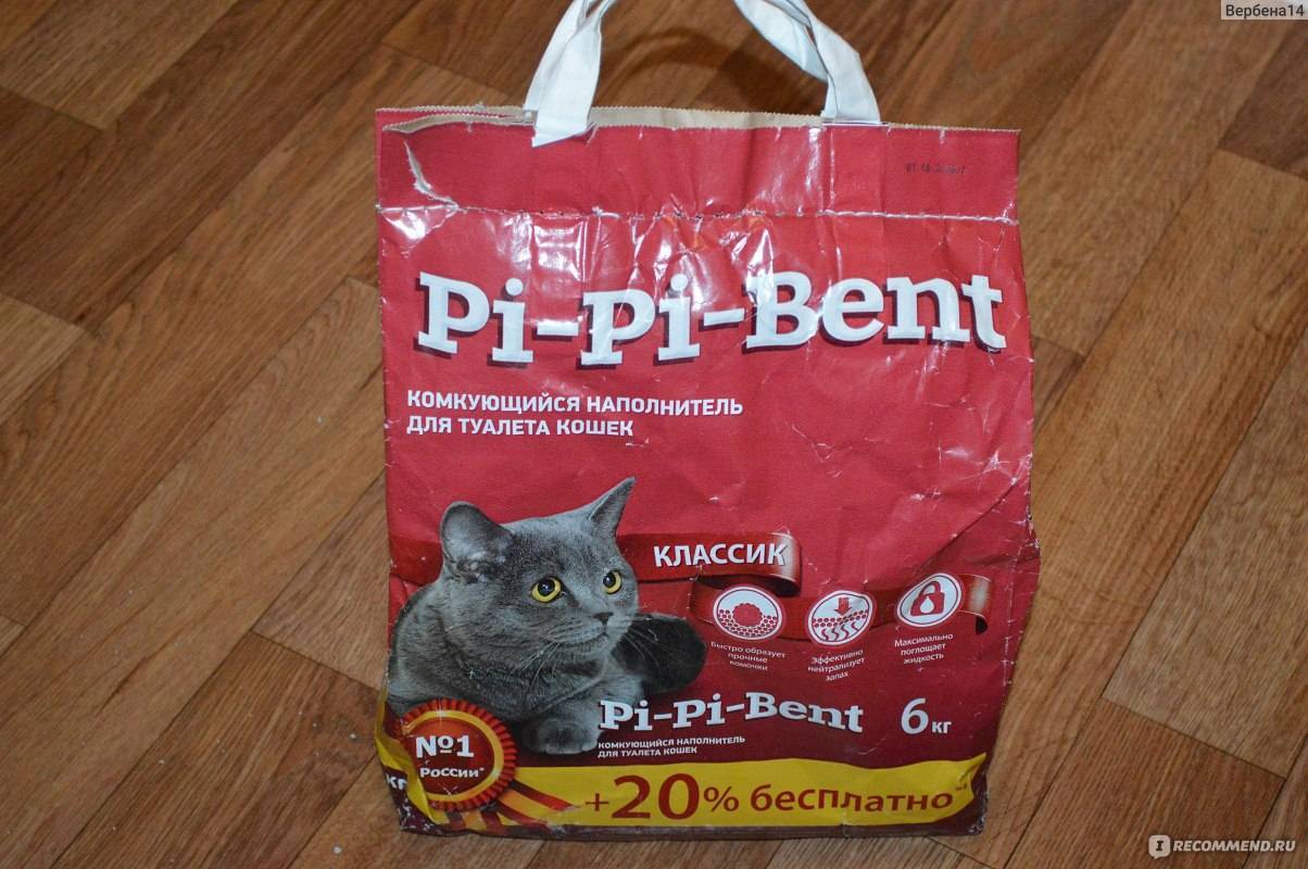 Какой наполнитель для котят лучше использовать в кошачьем туалете