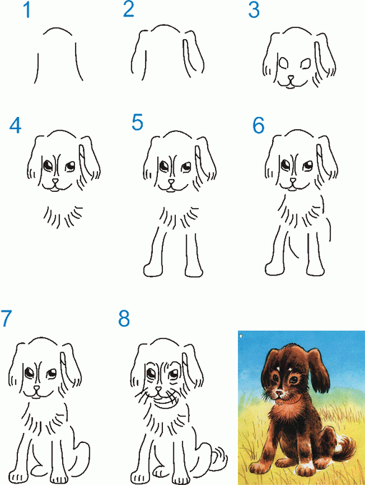 Как нарисовать собаку карандашами поэтапно: урок рисования для детей