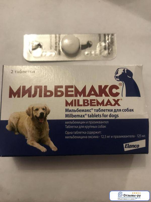 Мильбемакс для собак – и паразитов больше нет