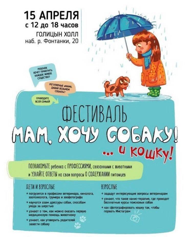 Советы детям: как уговорить родителей завести собаку