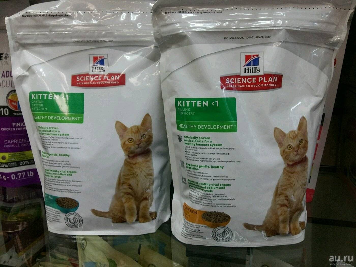 Лучшие кормы для стерилизованных кошек