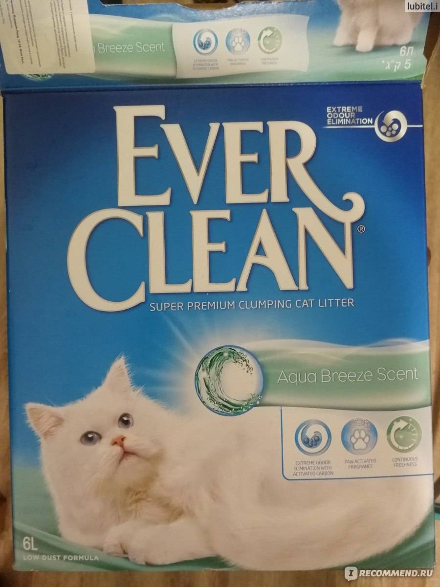 Ever clean — наполнитель для кошек: состав, особенности и отзывы