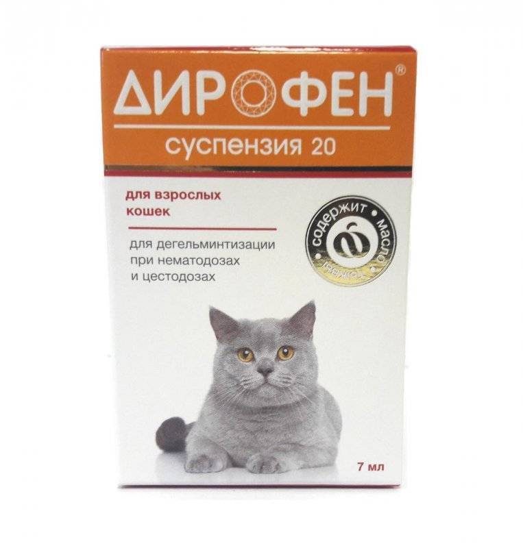 Имунофан для кошек: инструкция по применению, отзывы