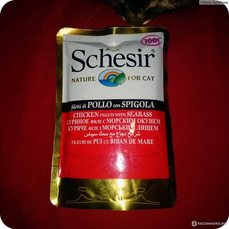 Корм для кошек schesir («шезир»): его состав и виды, преимущества и недостатки, отзывы ветеринаров и владельцев животных