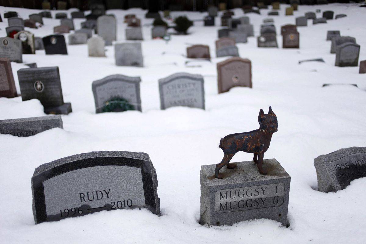 Нью-Йоркское кладбище домашних животных