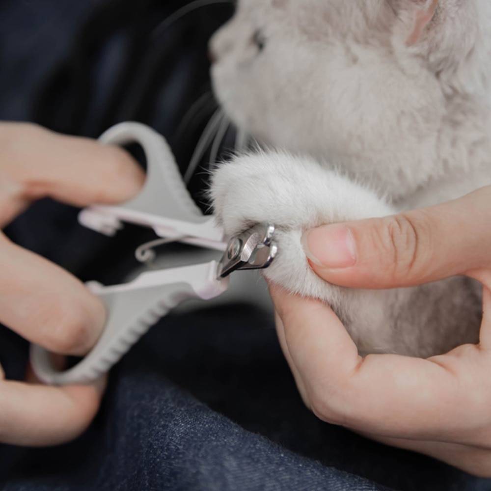 Чем стригут собак и как правильно делать стрижку псу в домашних условиях