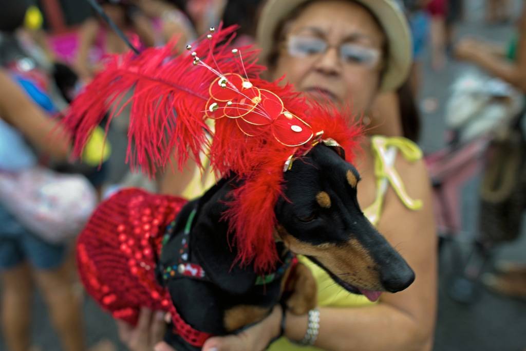 Легендарный карнавал в рио-де-жанейро – туристический блог бизнес визит