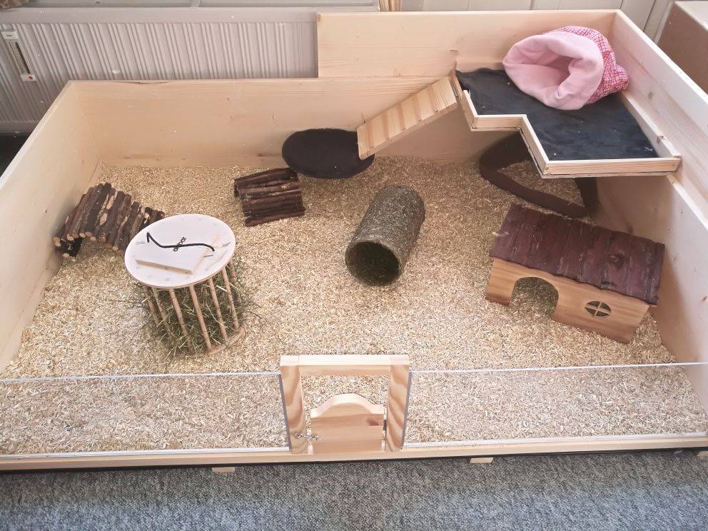 Клетка для хомяка своими руками (36 фото): как можно сделать контейнер в домашних условиях? самодельные конструкции из бутылок и дерева