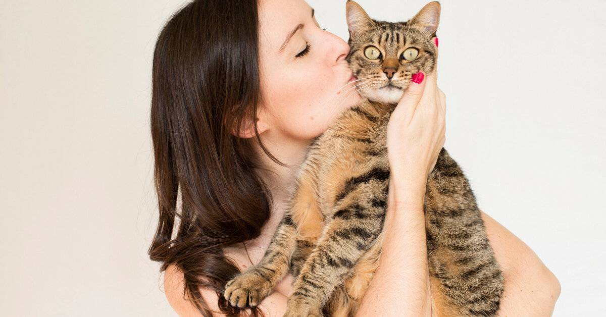 Как кошки воспринимают людей? почему кошки мнут лапами человека - psychbook.ru
