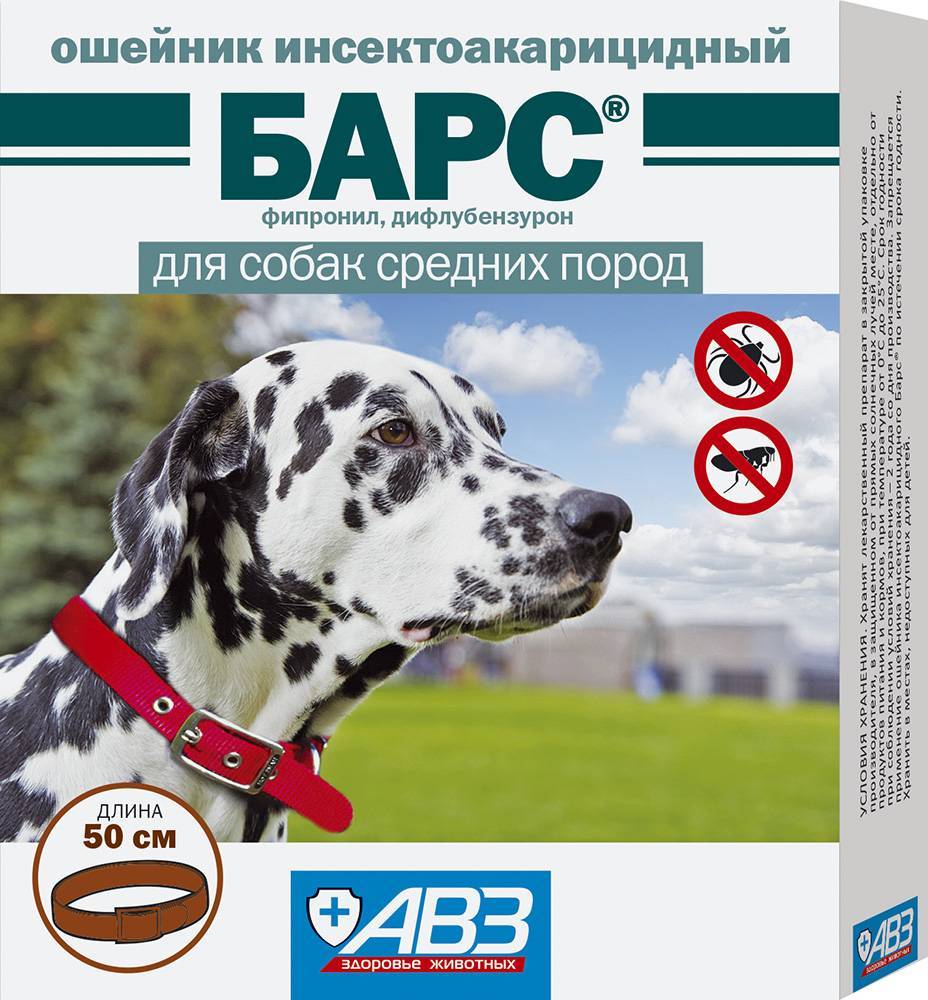 Ошейник от блох и клещей для собак: отзывы :: syl.ru