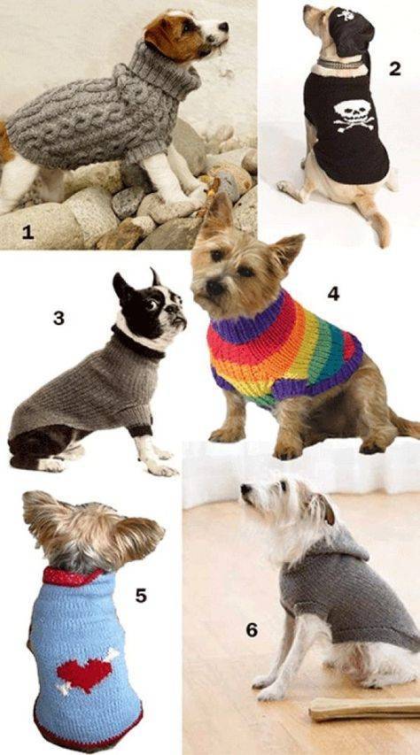 Вязаные вещи для собак и как самому связать свитер, или переделать старую кофту