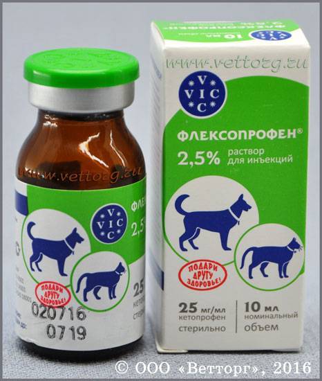 Флексопрофен (flexoprofen) — как правильно применять у кошек