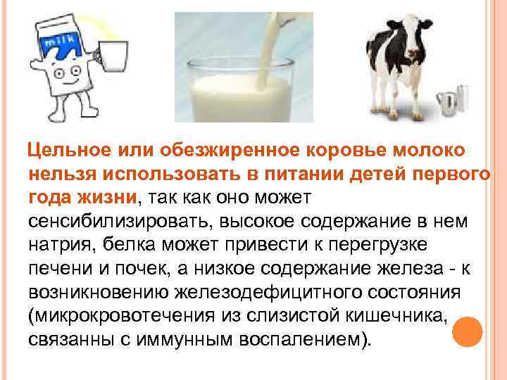 Можно ли кошке молоко, сладкое, кефир, собачий корм, сырое мясо и другие продукты? | hill's pet