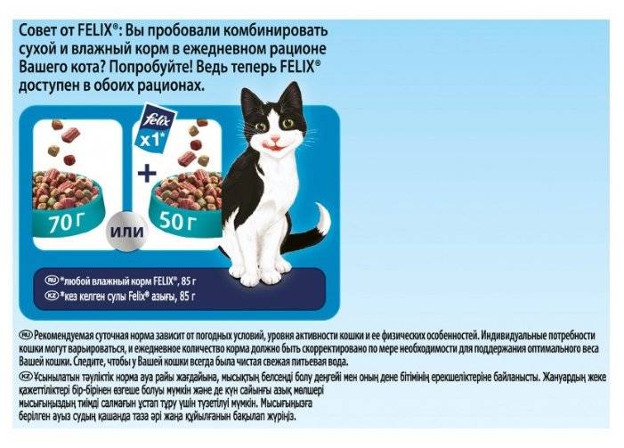 Корм для кошек феликс (felix): отзывы ветеринаров, состав, линейка продукции