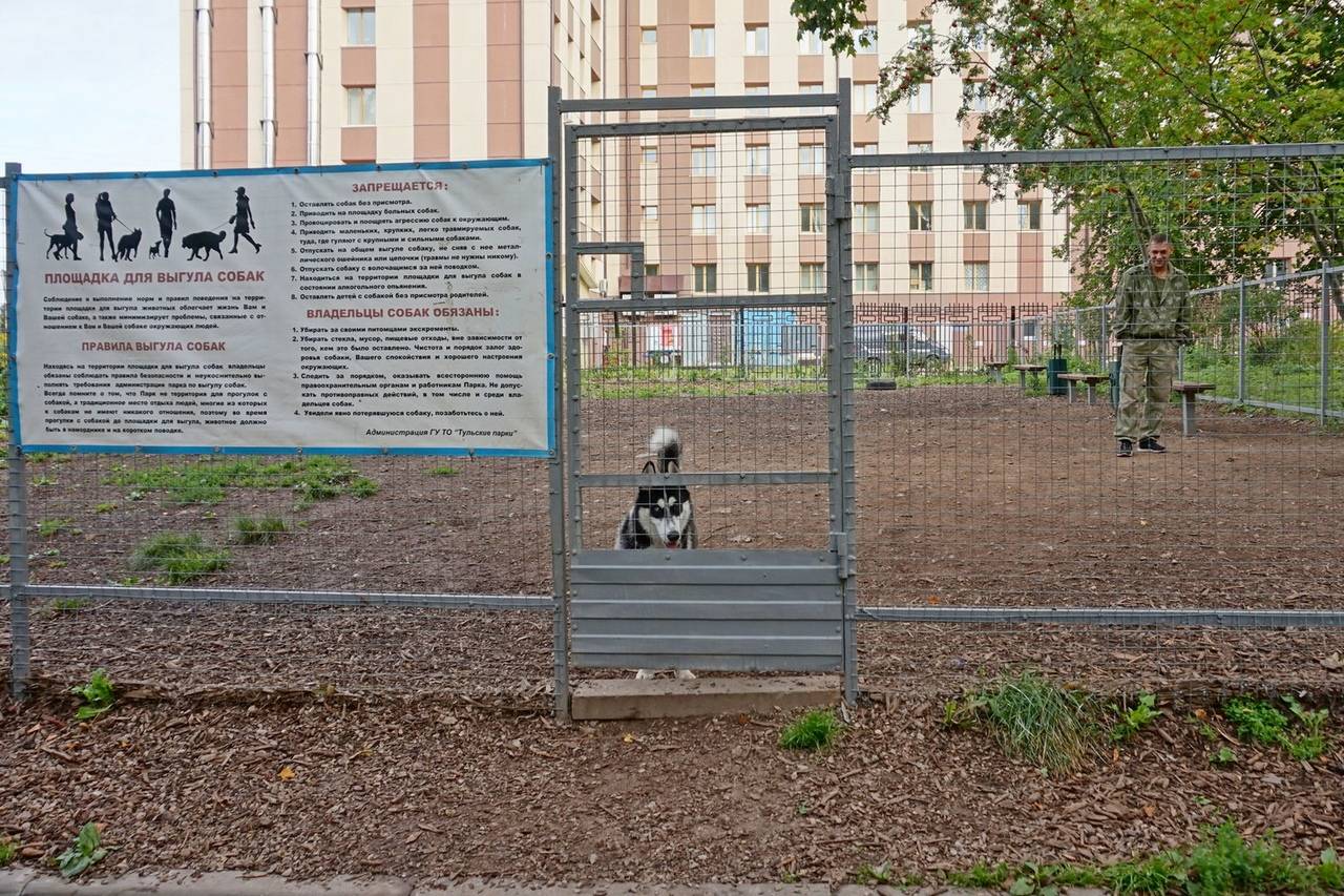 Правила выгула собак в общественном месте — что изменилось?