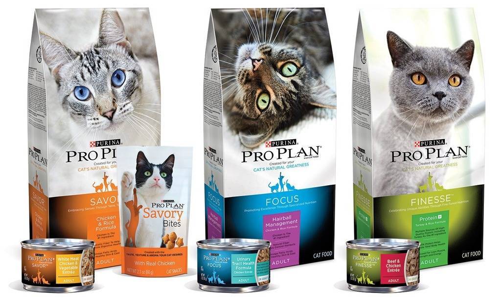Какие существуют корма для кошки и котенка от фирмы пурина проплан