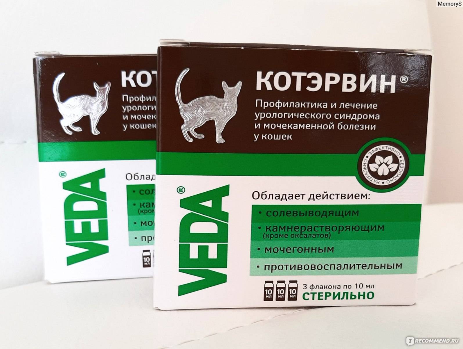 Котэрвин (капли) для кошек и котов | отзывы о применении препаратов для животных от ветеринаров и заводчиков