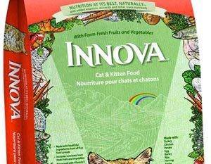 Корм для собак innova: описание, состав, отзывы владельцев животных