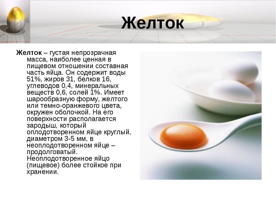 Чем можно и нельзя кормить домашнюю крысу