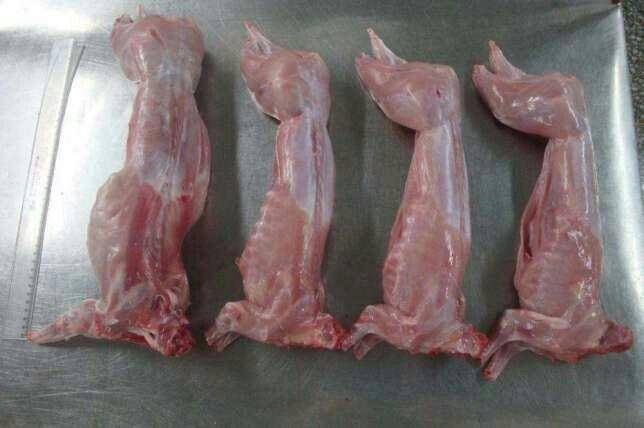Сколько стоит мясо кролика: стоимость 1 килограмма -