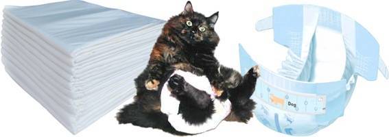 Памперс для кота: подгузник для кошек