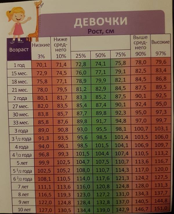 ᐉ размер шиншиллы: таблица веса и роста по месяцам от малышей до взрослых - zoopalitra-spb.ru