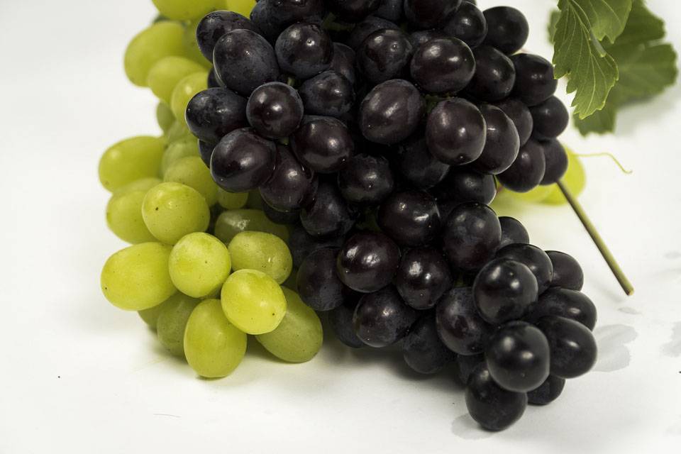 Можно ли есть виноград с косточками? полезны ли косточки винограда, что в них содержатся?