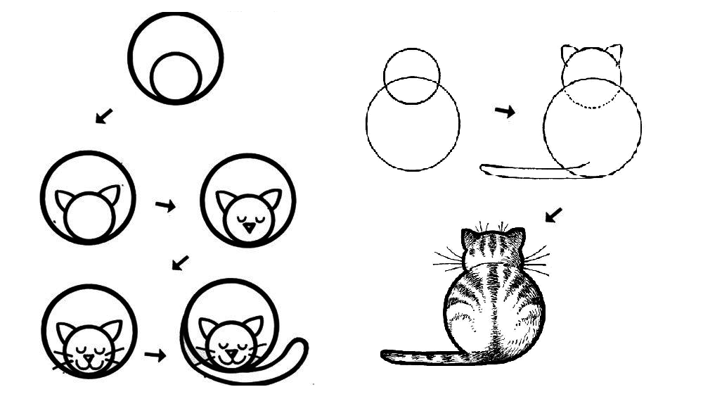 Кот по частям рисунок