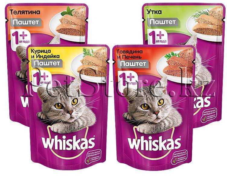 Корм для кошек whiskas: отзывы и разбор состава - kotiko.ru