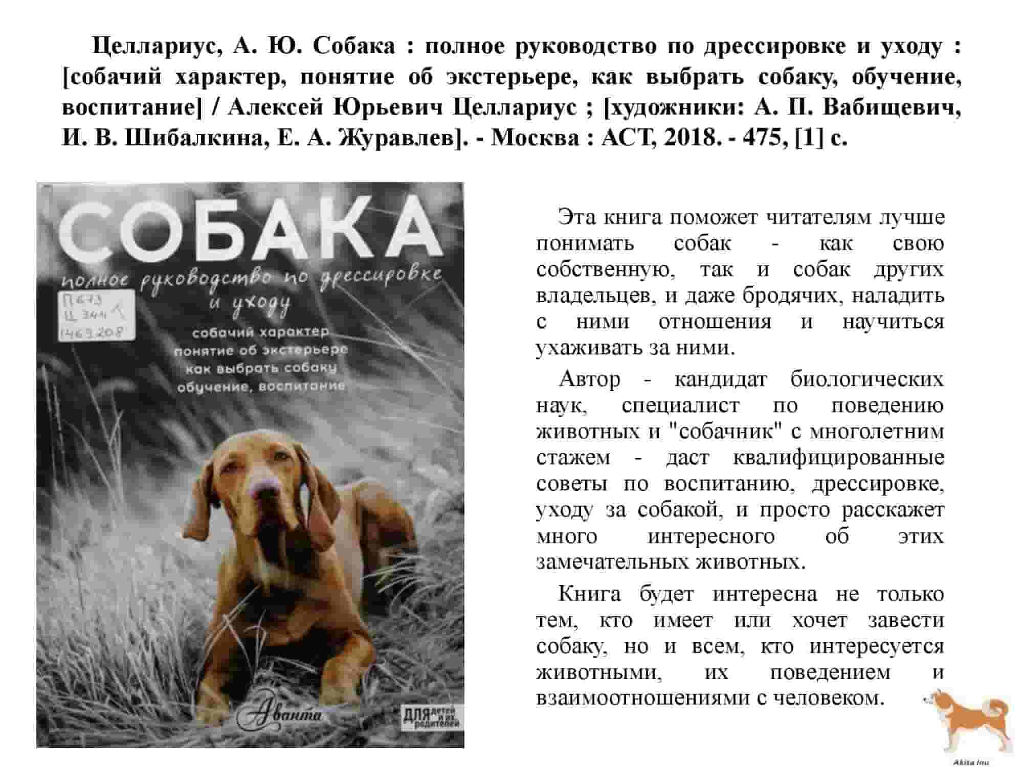 Курцхаар: описание охотничьей породы собак, советы по уходу и содержанию - kotiko.ru