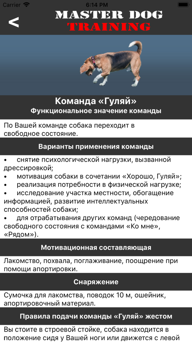 Есть команды для собак