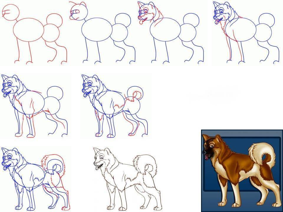 Гайд: как реалистично нарисовать собаку
