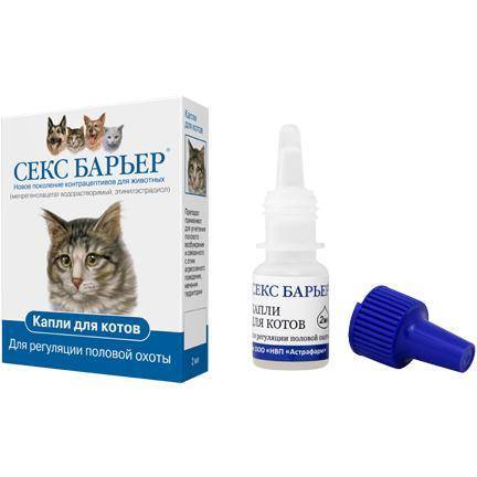 «антисекс» для кошек: обзор препаратов для сдерживания полового влечения