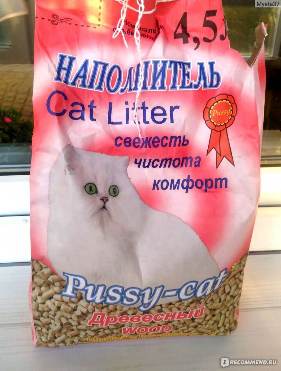 Какой наполнитель для кошачьего туалета лучше. виды наполнителей и отзывы - kotiko.ru