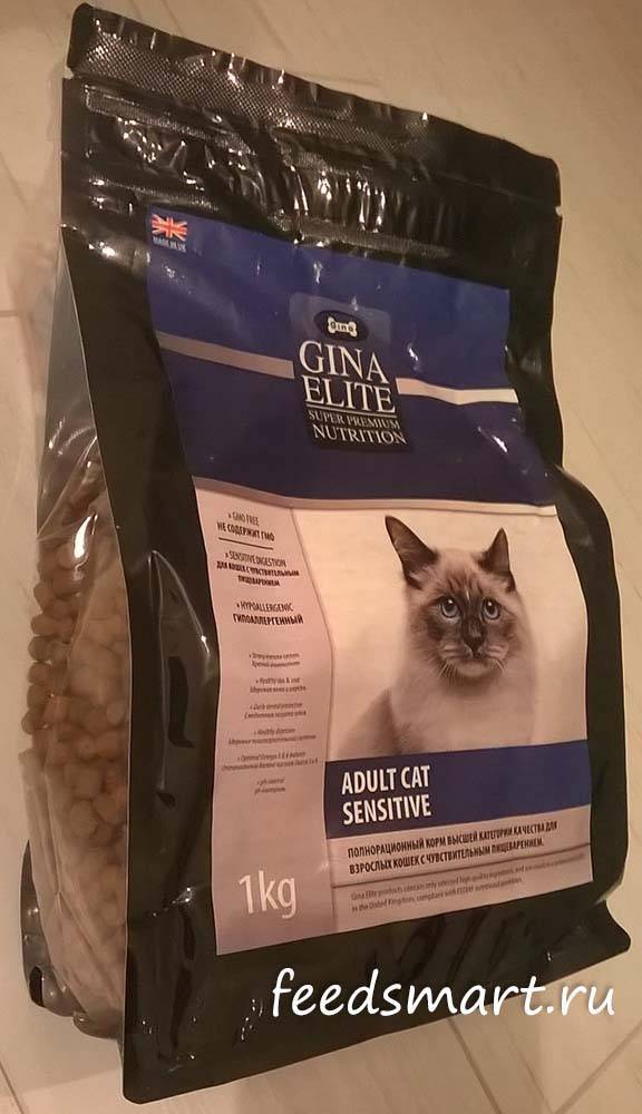 Корм для кошек gina (джина): плюсы и минусы, отзывы
