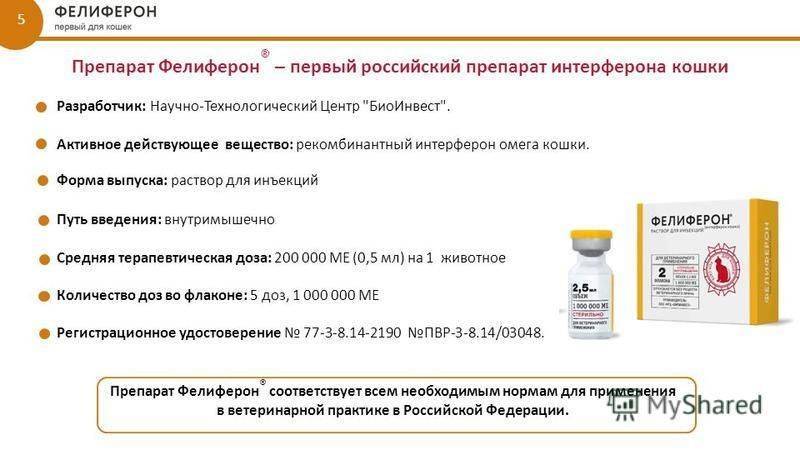 Фелиферон для кошек — как действует?