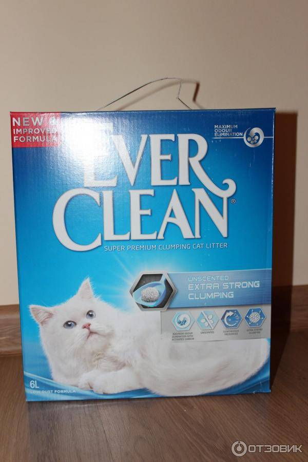 Наполнитель для кошачьего туалета фирмы ever clean