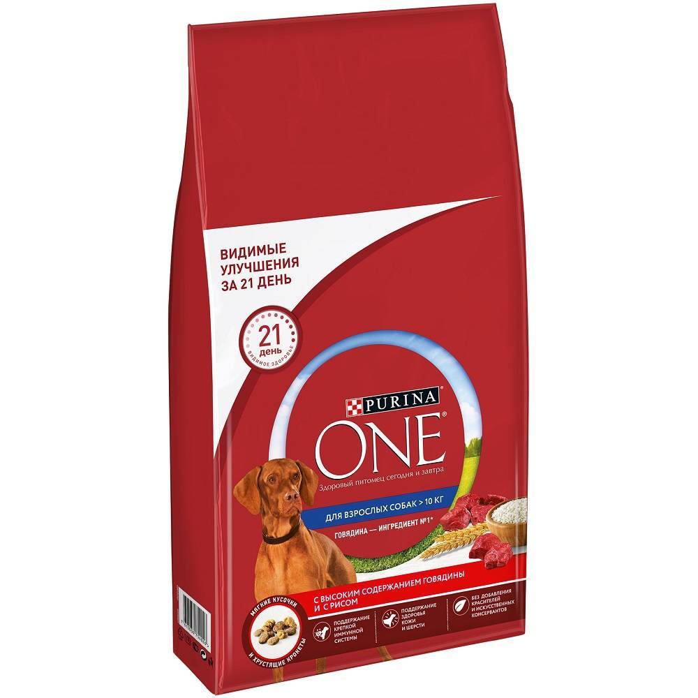 Purina one для домашних кошек