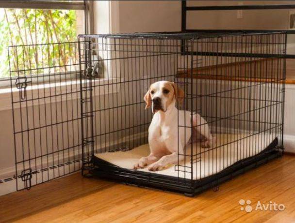 Нужна ли собаке клетка в квартире