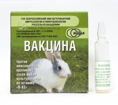 Вгбк (вакцина от геморрагической болезни кроликов)  | отзывы о применении препаратов для животных от ветеринаров и заводчиков