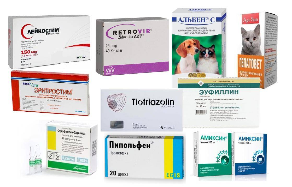 Антибактериальное и фунгицидное лекарственное средство для ветеринарного применения  "монклавит-1"
