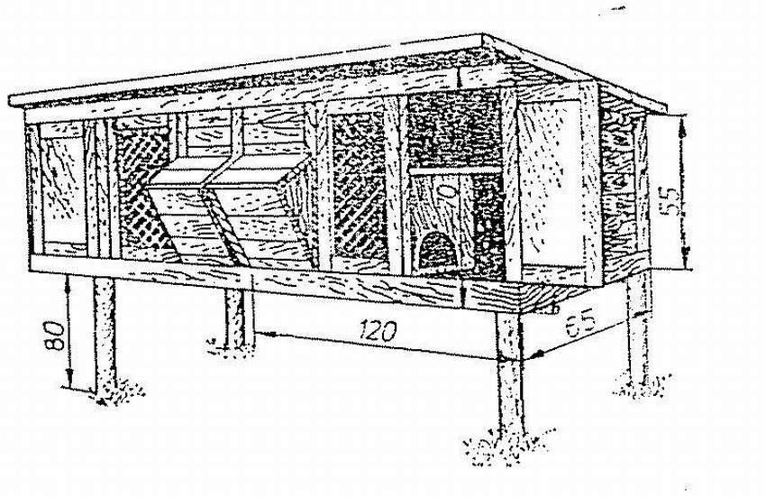 Как сделать крольчатник своими руками схема и чертежи