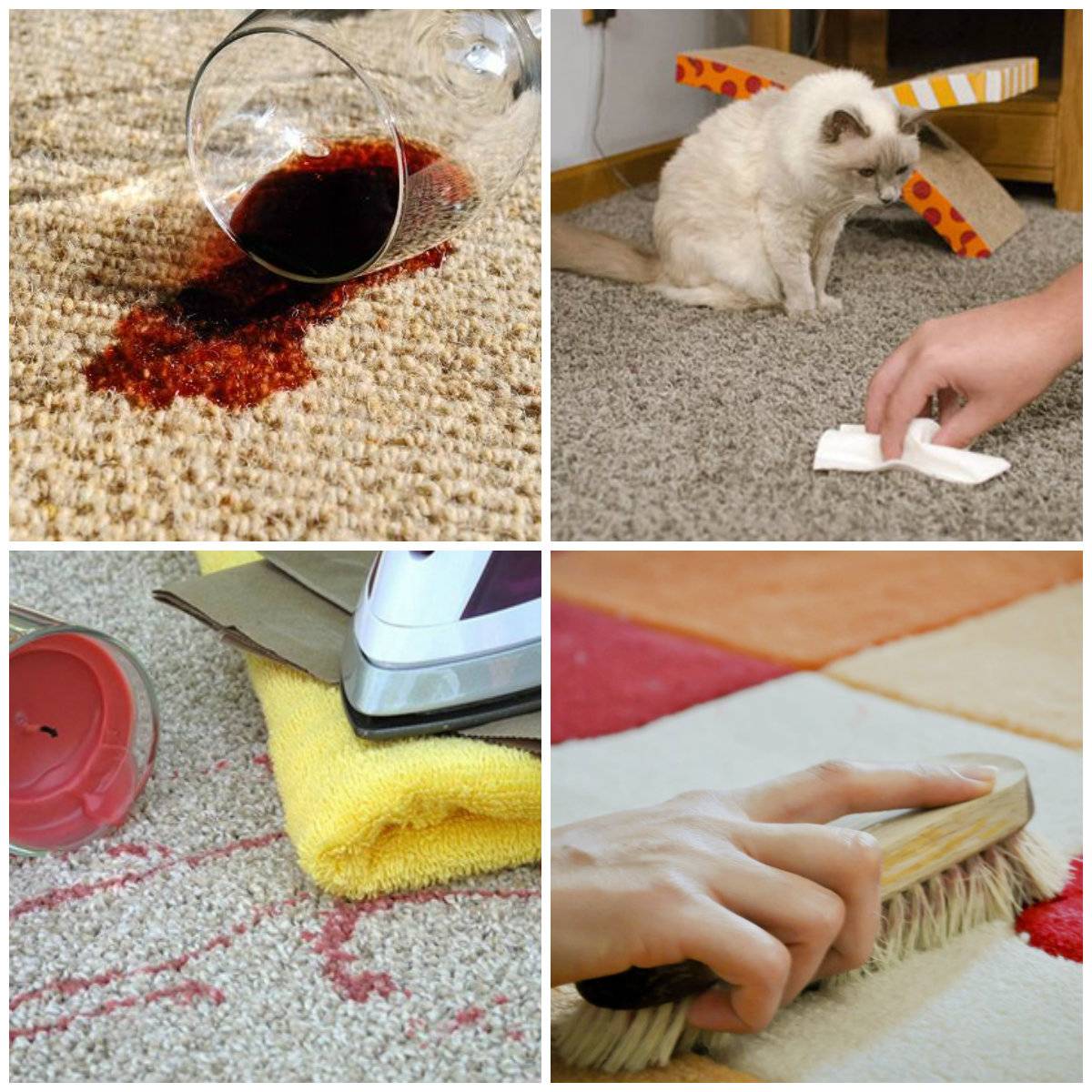 Узнайте, как избавиться от запаха собачьей мочи в квартире, на ковре и диване