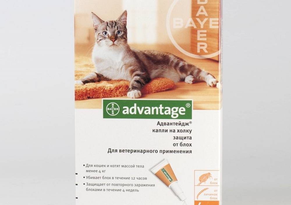 Адвантейдж для кошек: состав и форма выпуска, инструкция по применению