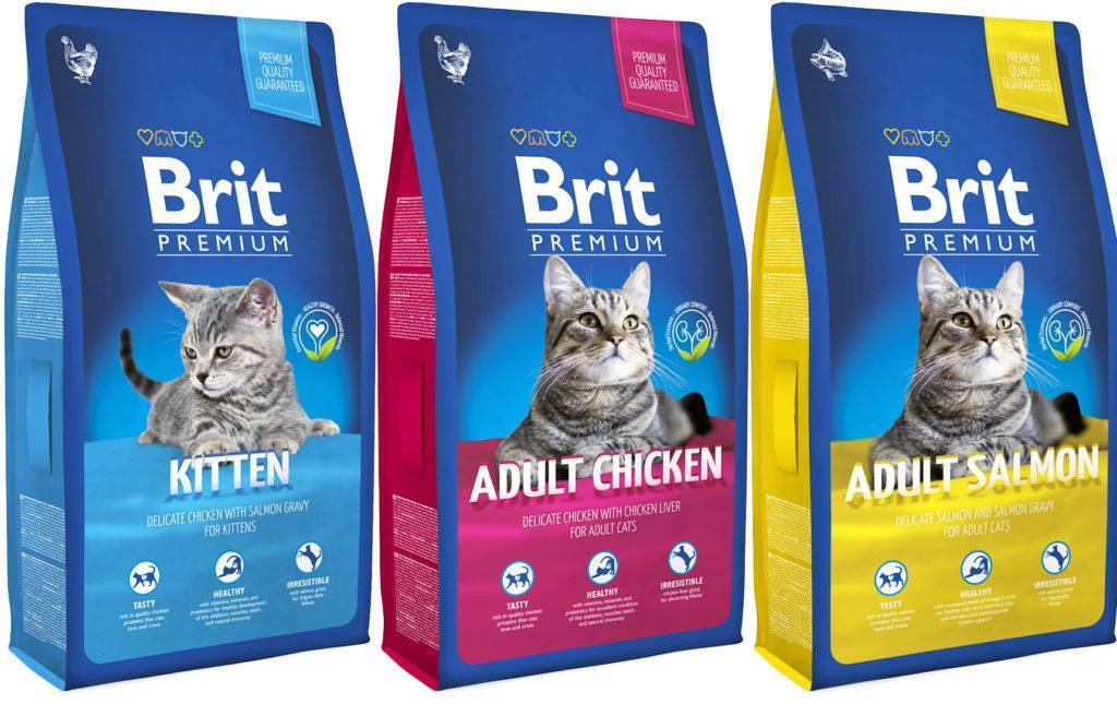 Лучшие корма для кошек brit топ-10 2021 года
