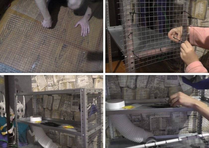 Создание эффективных крысоловок своими руками в домашних условиях